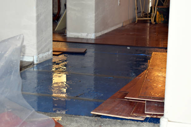 Professional Basement Flood Cleanup technician working in Helotes, TX